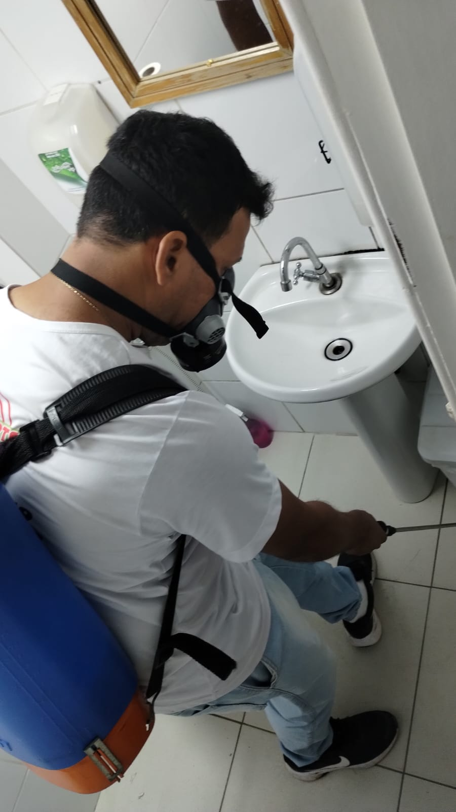 Dedetização em banheiro